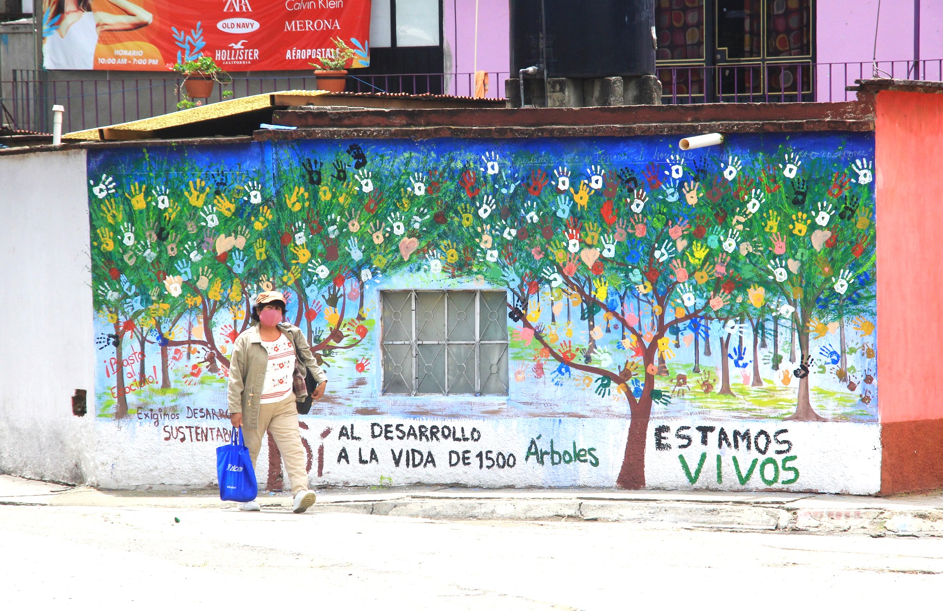 Vecinos de la colonia Miguel Alemán realizaron un mural para pedir salvar a los 1,500 árboles que serán derribados. Ana Lilia Pacheco