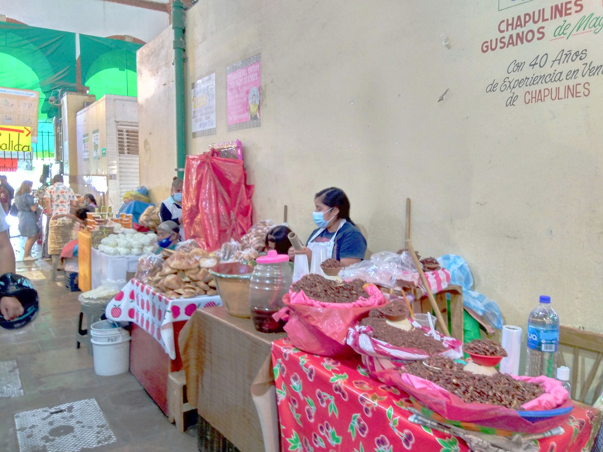Ahora bajo la nueva normalidad, otra vez hay de todo; lo que no hay, son muchos clientes.