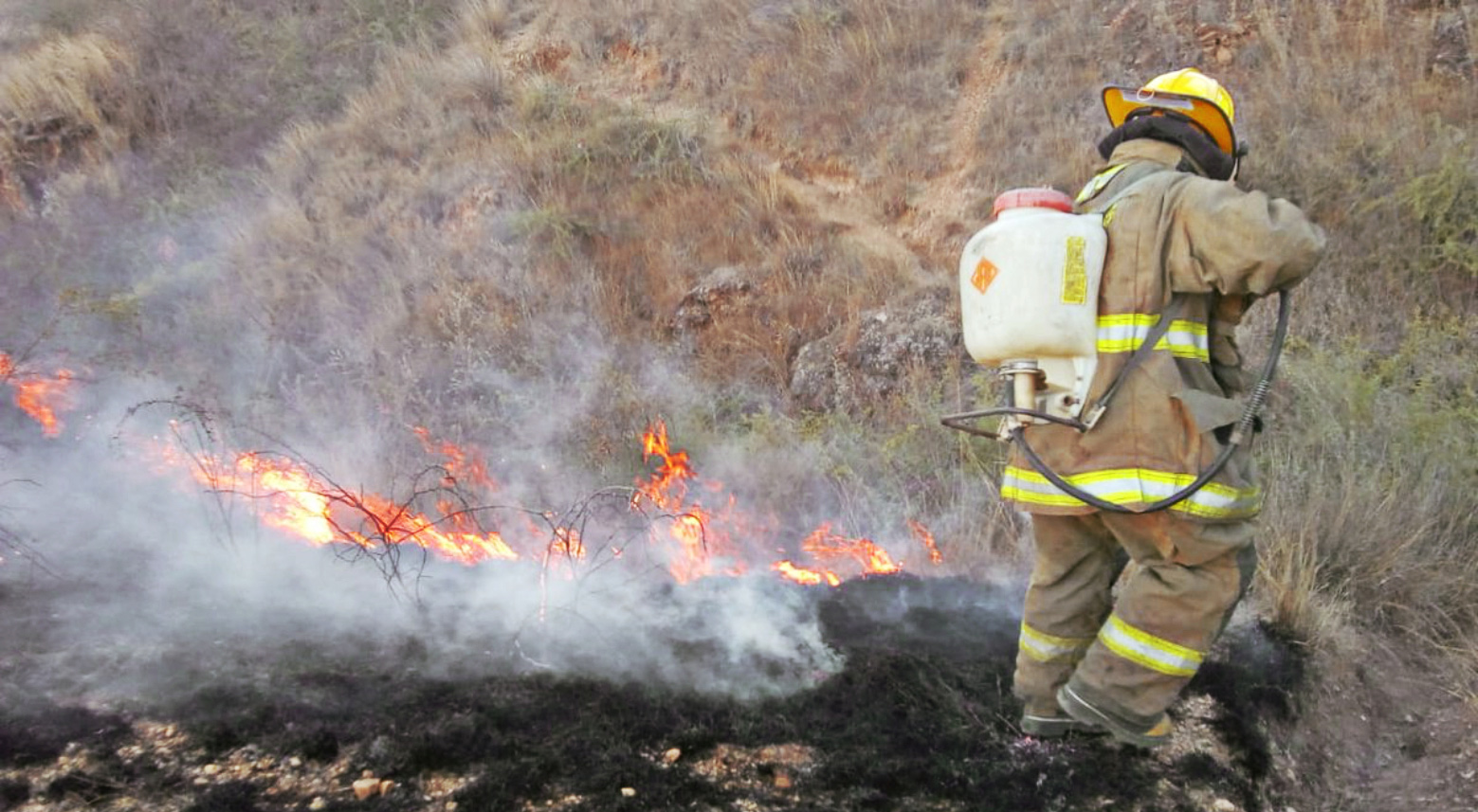 En días recientes, Oaxaca ha sufrido los estragos causados por el fuego.