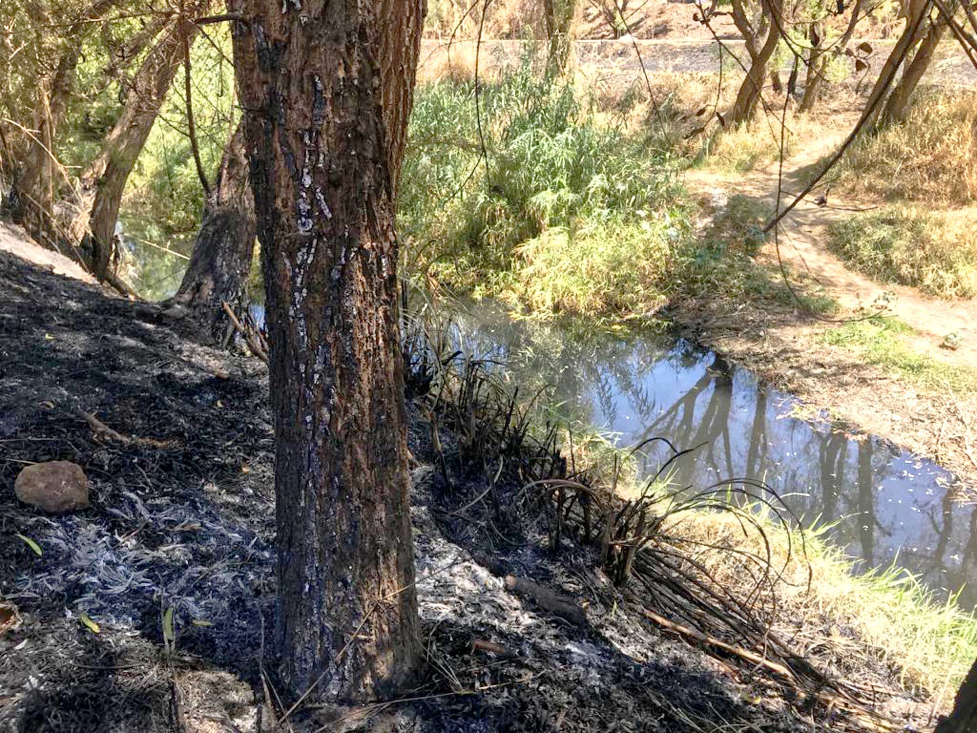 A los vecinos les preocupa la contaminación del río Atoyac y los incendios recientes.