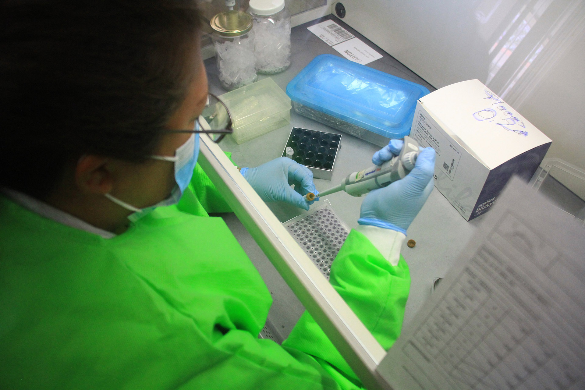 Un trabajo de biología molecular poco mecanizado.
