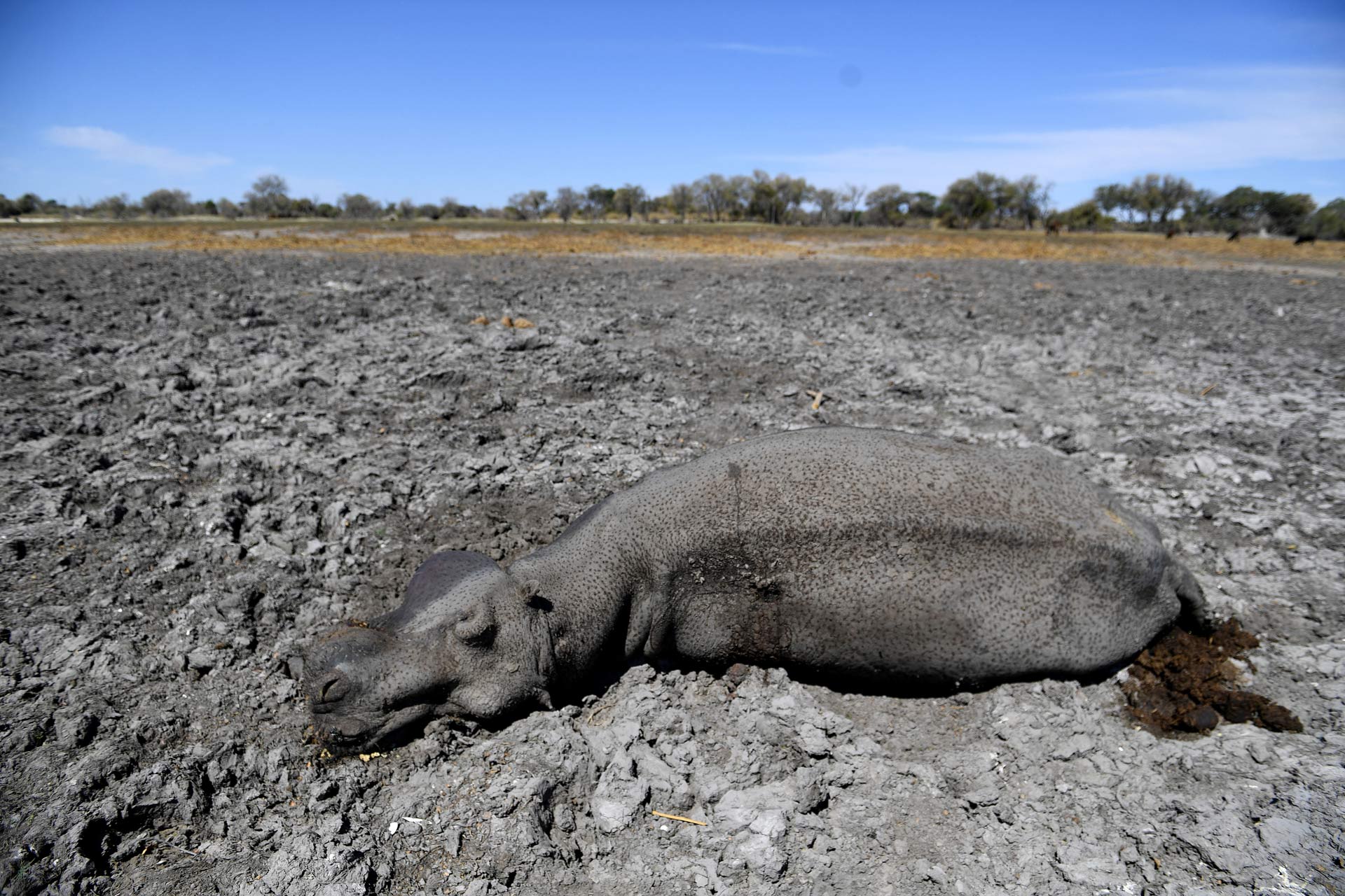 Los efectos del cambio climático han secado fuentes de abastecimiento de agua.