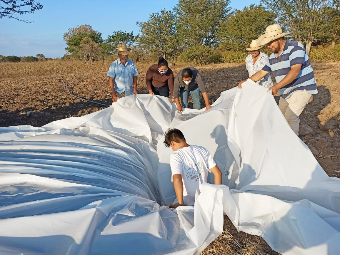 Los biofertilizantes están listos en 30 días para ser utilizados en los campos para sembrar.