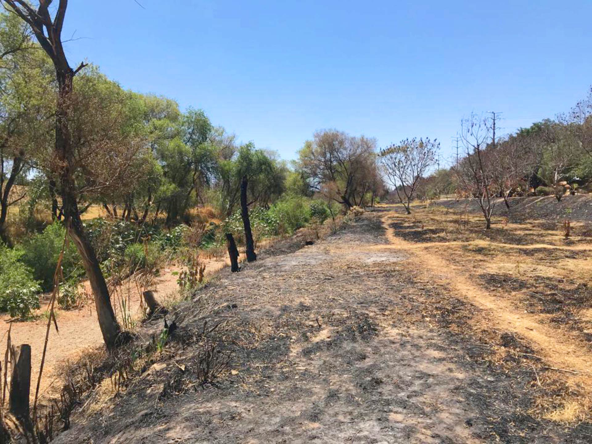 Los vecinos aseguran que los incendios son provocados.