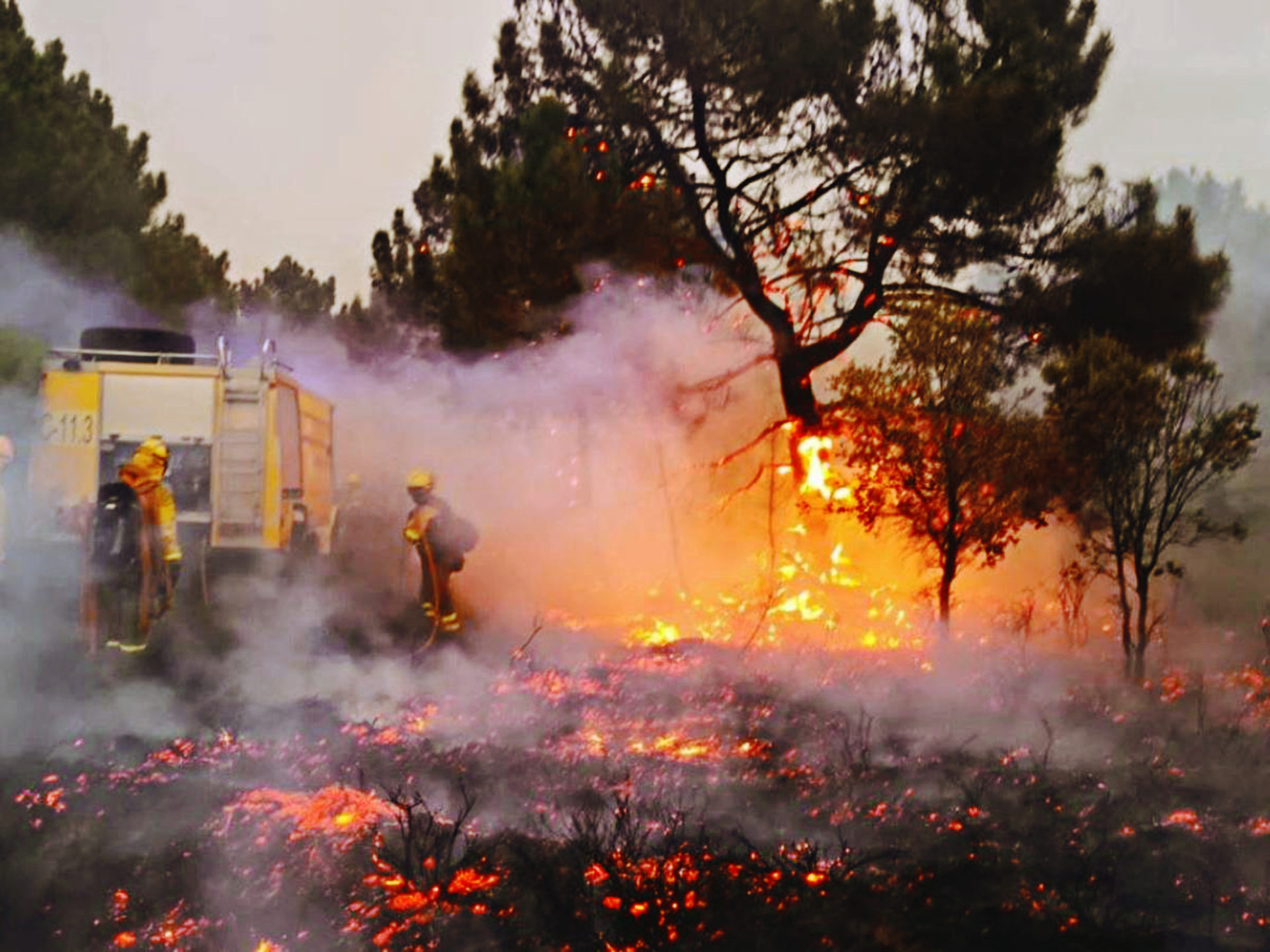Hasta el momento, más de dos mil hectáreas en Oaxaca han sido destruidas por el fuego durante 2021, informó la Coesfo.