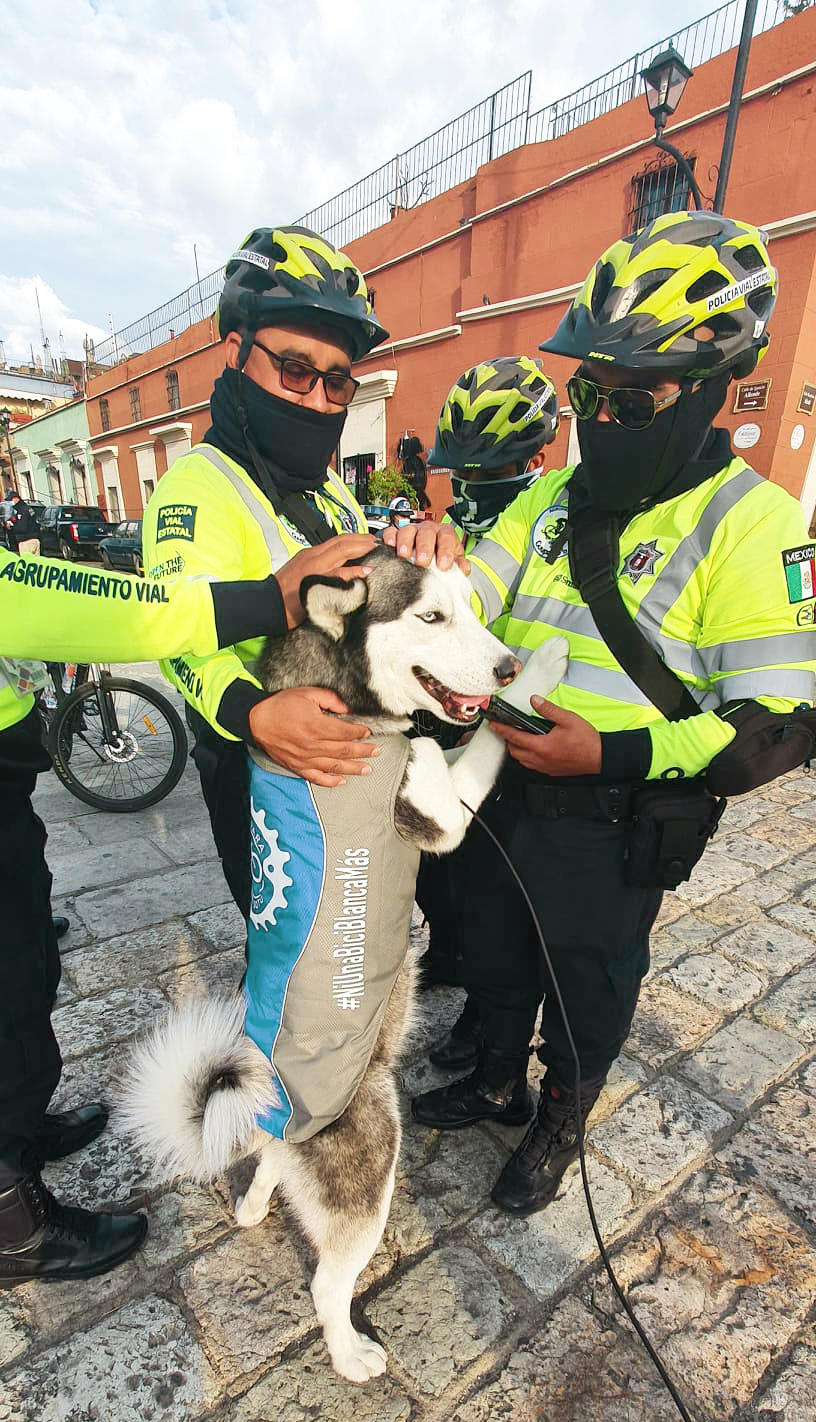 Los participantes en la rodada recibieron acompañamiento y protección vial.