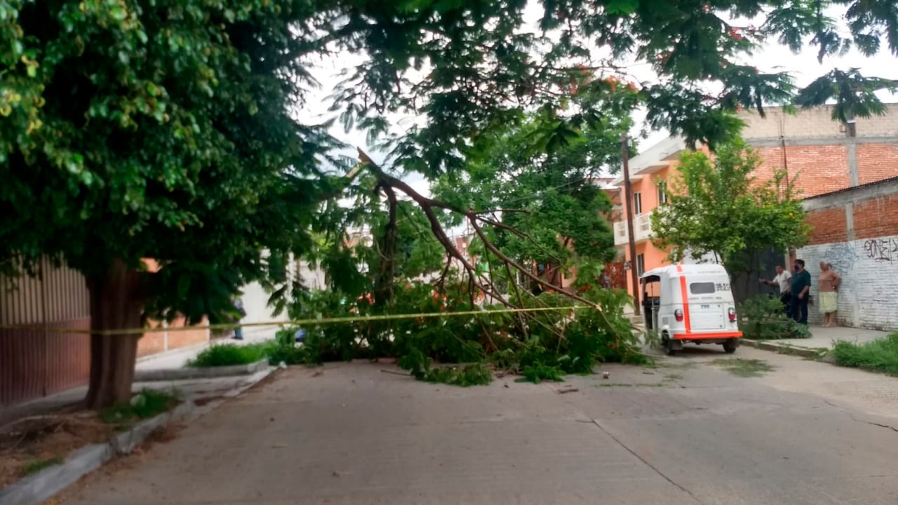 En la calle de Río Verde, del fraccionamiento Los Ríos, ocurrió el percance.