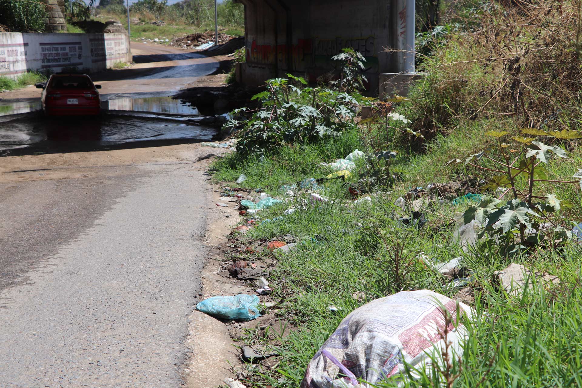 La zona es considerada un foco de infección debido a la presencia de basura y fauna nociva.