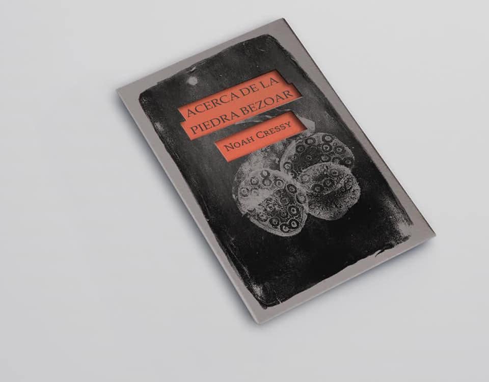 Esta edición es limitada y numerada de 250 ejemplares; fue impresa en risografía e incluida dentro de un sobre, como lo muestra esta fotografía.