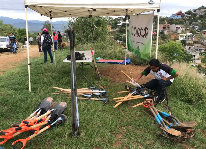 Para el ambientalista es importante que los voluntarios tengan conocimiento de lo que están haciendo y de las plantas que van a sembrar. Cortesía
