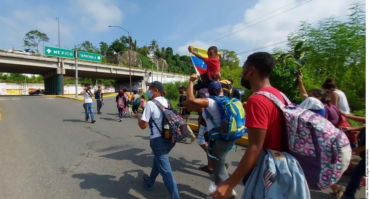 Después de la reforestación, los voluntarios deben continuar visitando sus plantas. Cortesía
