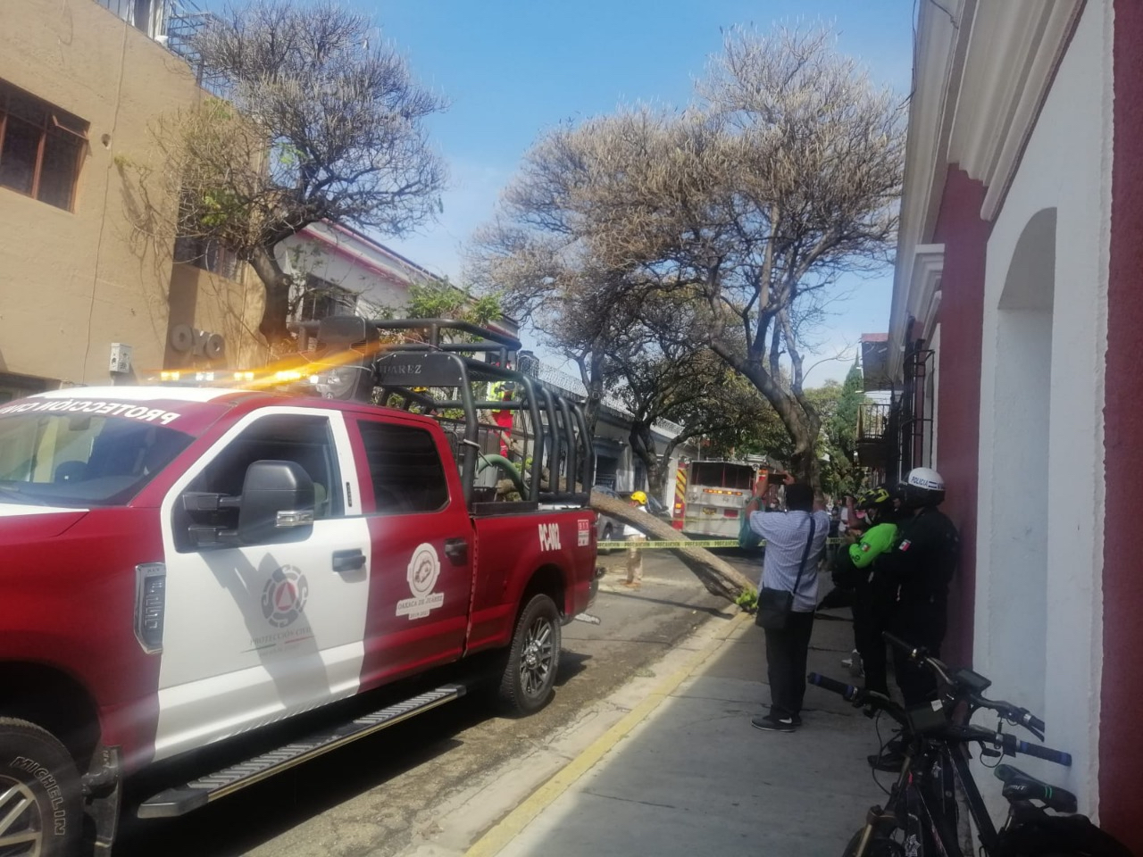 Protección Civil Municipal y Bomberos retiraron el árbol.