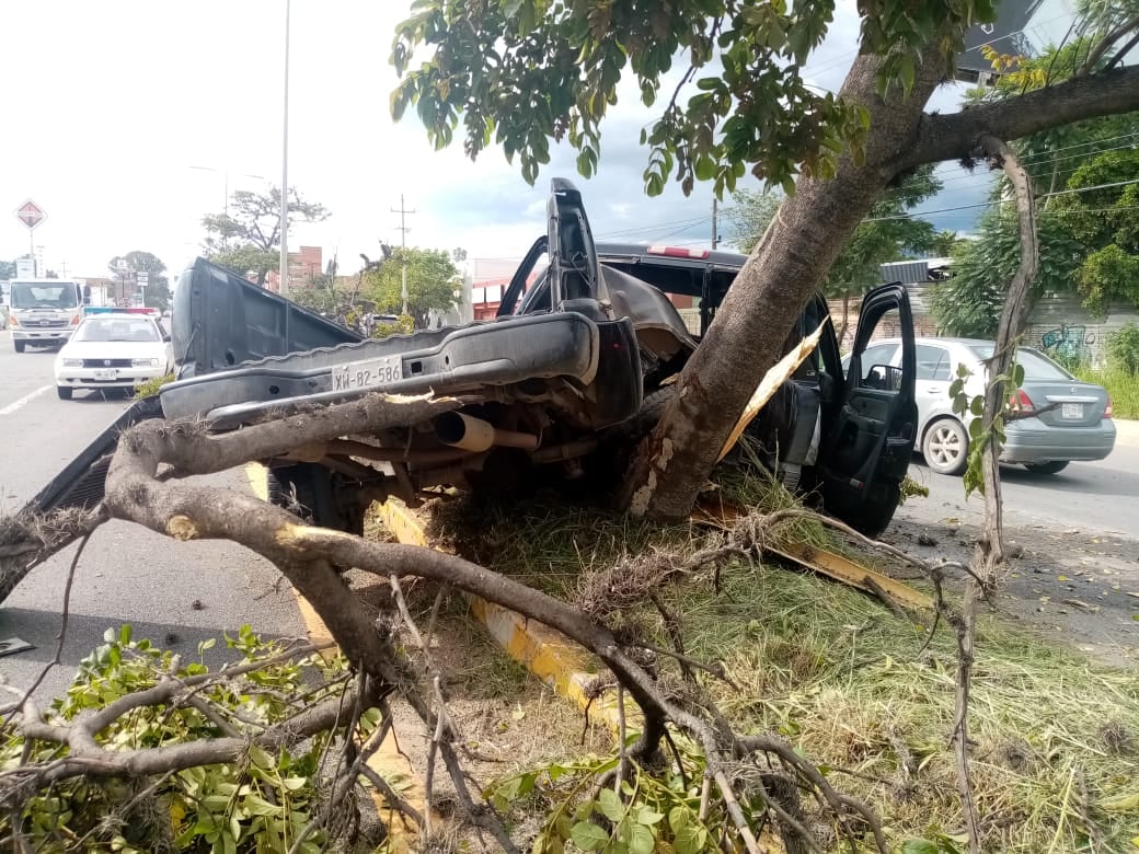 Por el árbol, la camioneta no volcó en el carril contrario.