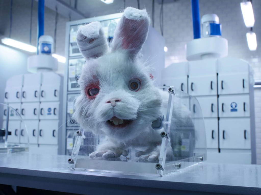 El cortometraje titulado Save Ralph, publicado por la organización Humane Society International, se hizo viral tras presentar la crueldad en la que viven los animales en los laboratorios. Internet