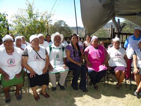 La Unión de Palmeadoras y palmeadores de tortillas en Tlaxiaco, planea reactivar la economía al concluir la pandemia.