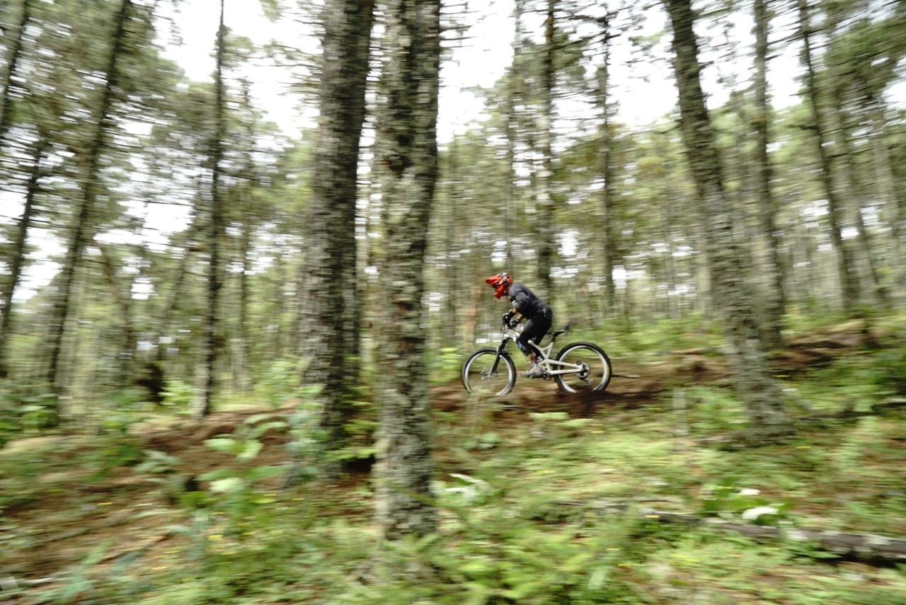 Los ciclistas participantes en la Transierra Norte surcarán los bosques y montañas de Oaxaca.