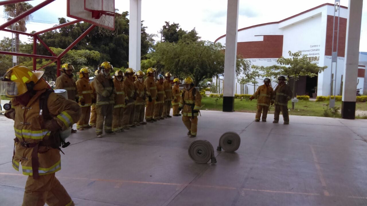 Reciben cursos de manera constante.
