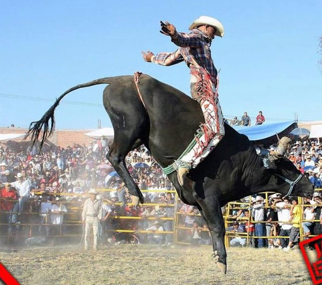 Jaripeo, un deporte extremo en Oaxaca NVI Noticias