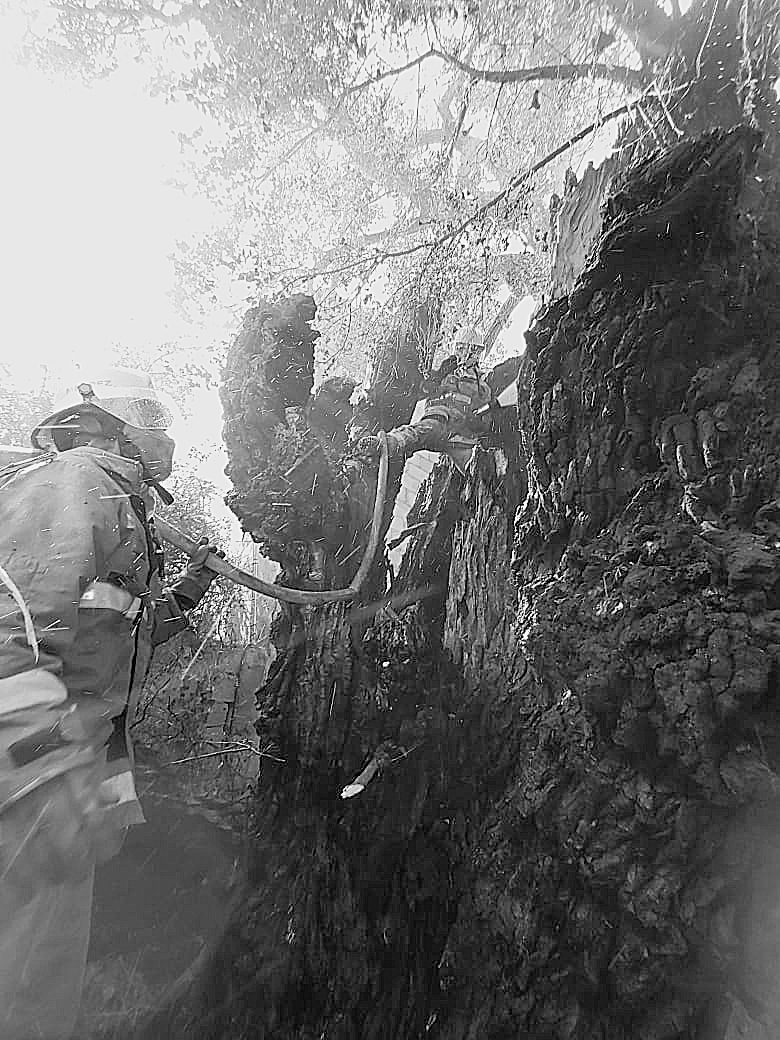 Temían que el fuego se propagara a las casas contiguas.