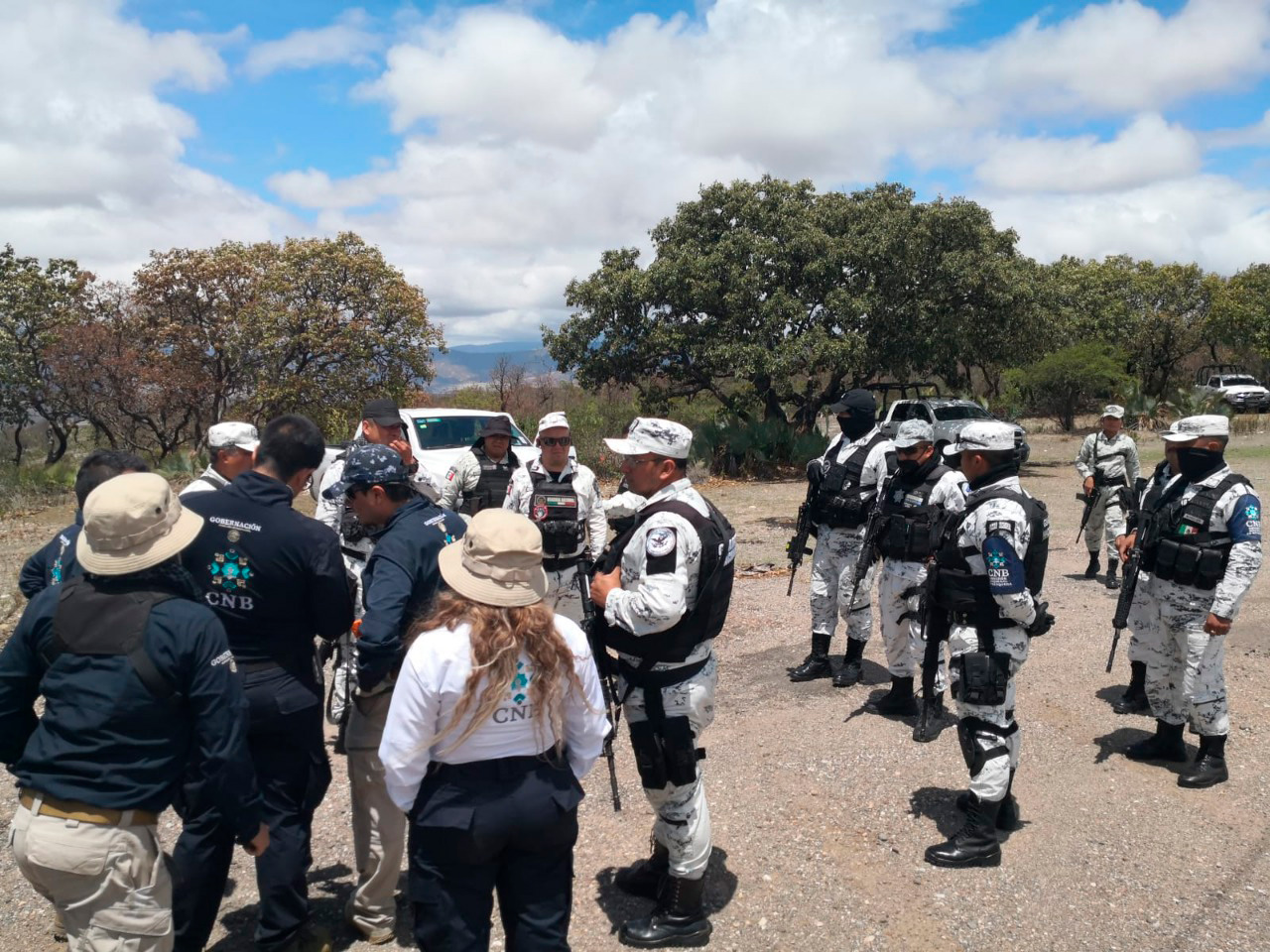 Diversas corporaciones participan en las labores.