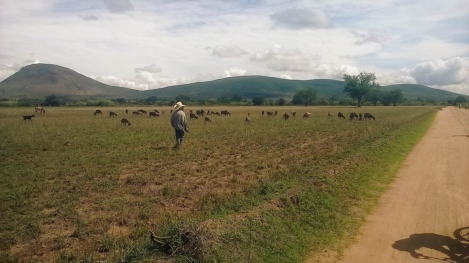 En un camino de terracería ocurrió el crimen.