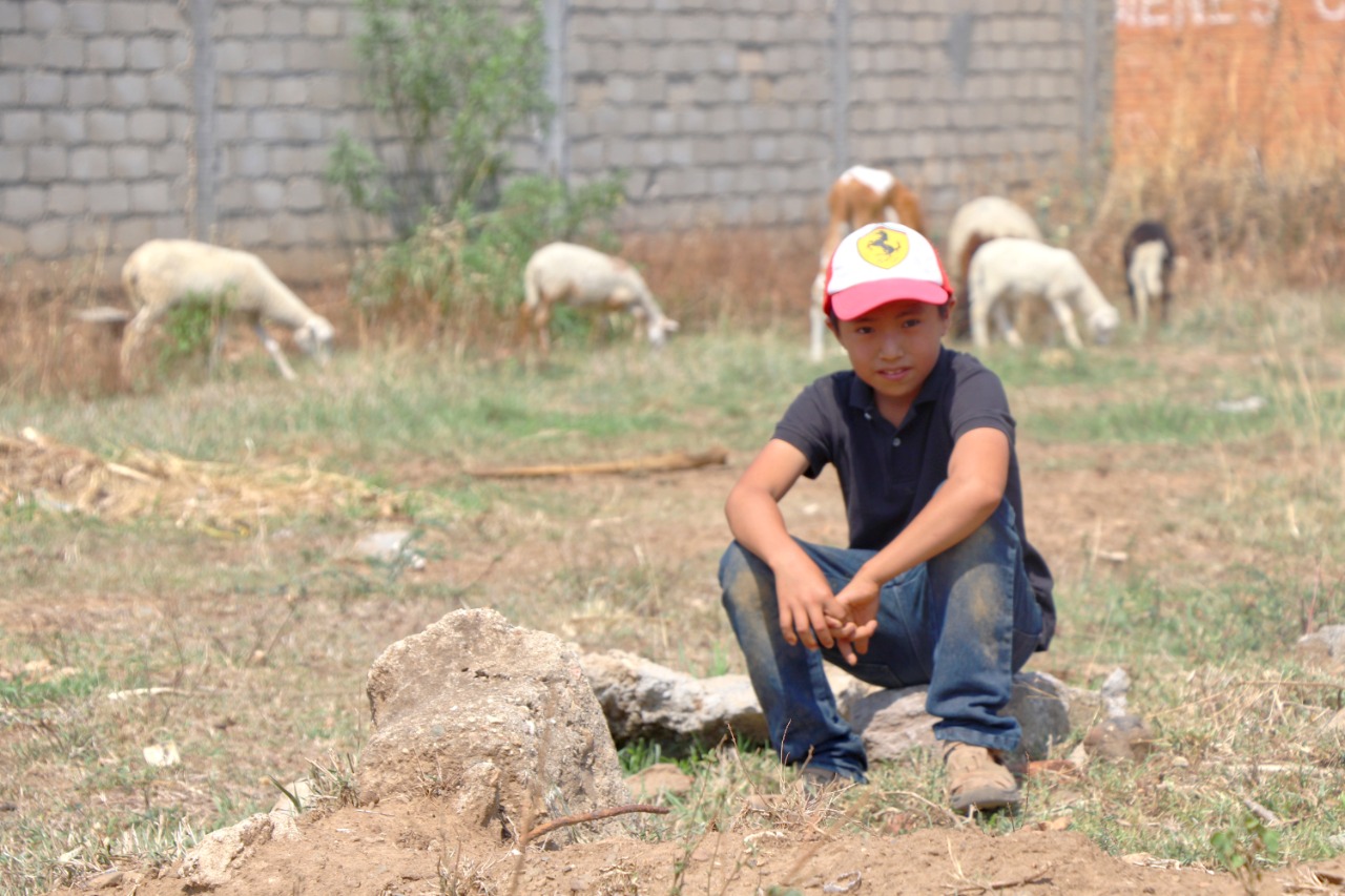 El Día del Niño pasará inadvertido para Arturo Pérez, así como para millones de menores de nuestro país. Alexei García