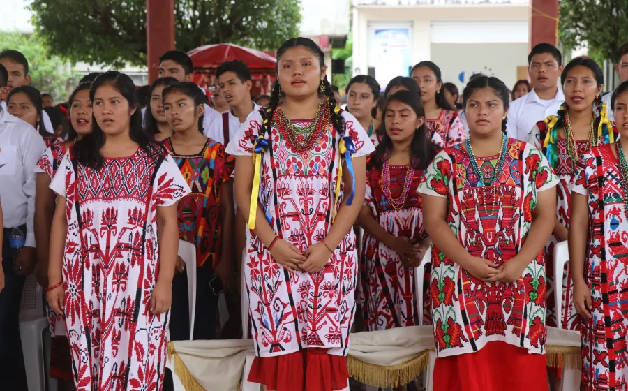 Luchan indígenas de Oaxaca vs plagio y la apropiación de sus bordados | NVI  Noticias